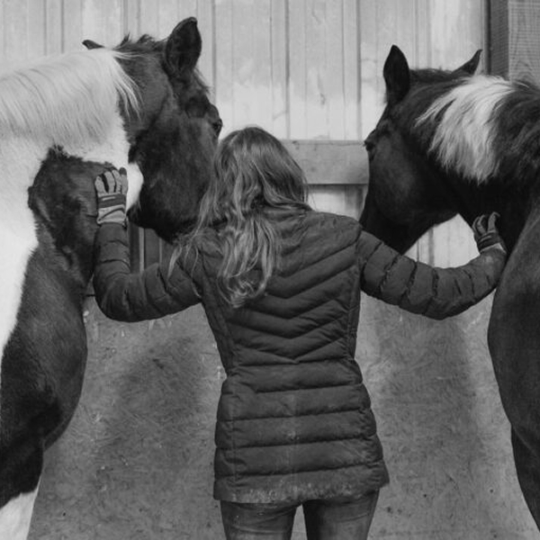 Woman with two horses from rear