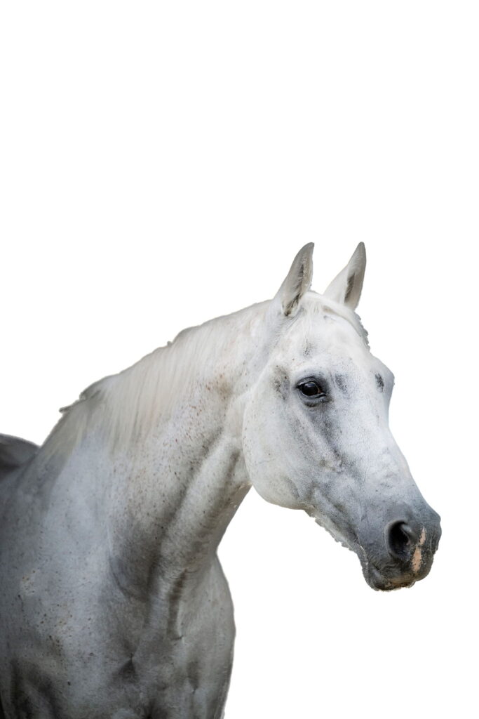 Torda sidebar